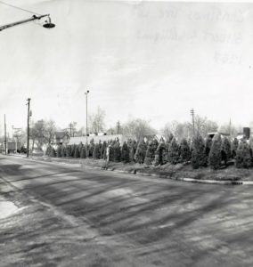 Jockos History (5)